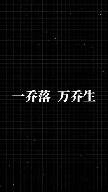 小乔