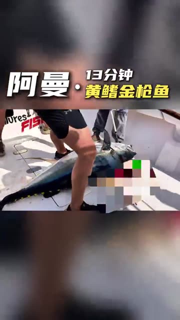 钓鱼 · 创意短片